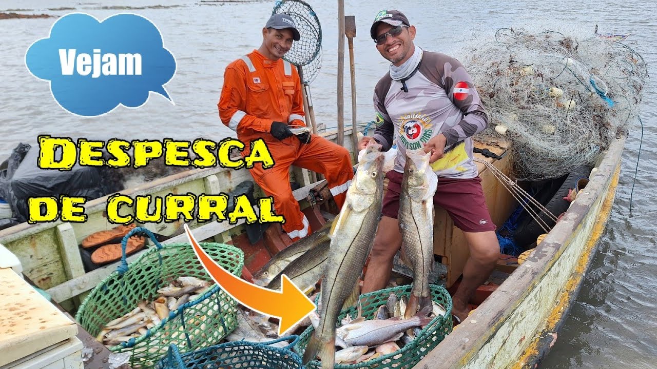 DESPESCA DE CURRAL 🤗 SÓ PEIXES DE QUALIDADES, Vejam 🤗 #viralvideos #aventura #fishing