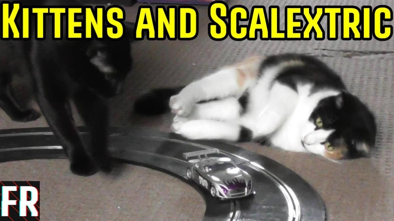 Failrace Special -  Kittens And Scaletrix