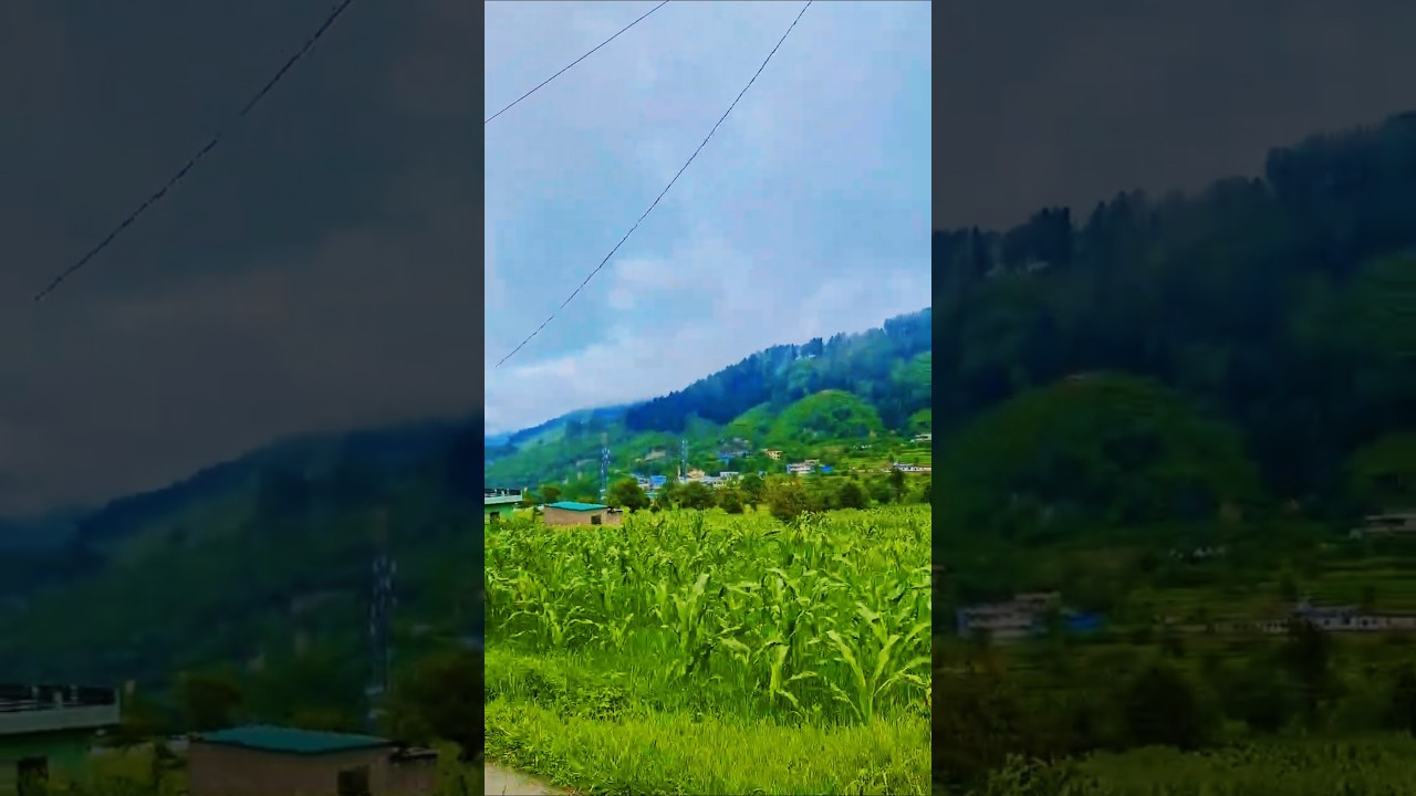 संदेशे आते हैं ✍️ #villagefarming  #uttarakhand #monsoon #rain #trendingshorts #scenery #foryou