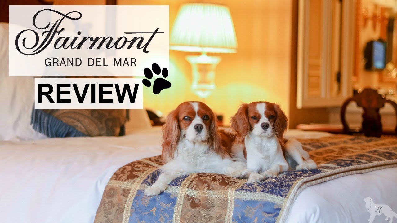 DOG FRIENDLY HOTEL REVIEW | Fairmont Grand Del Mar San Diego California | #1 LUXURY