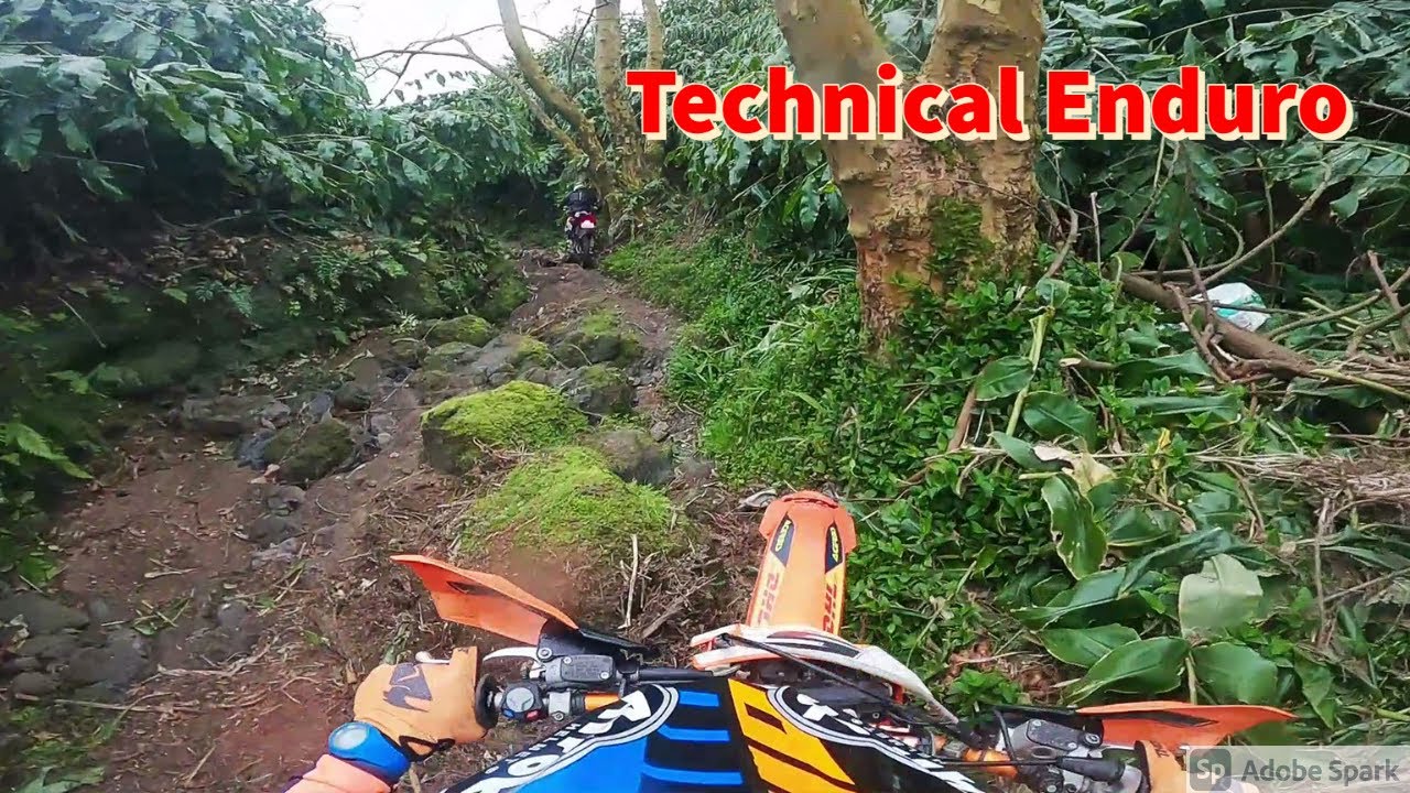 Technical Enduro | Enduro | KTM 300 EXC