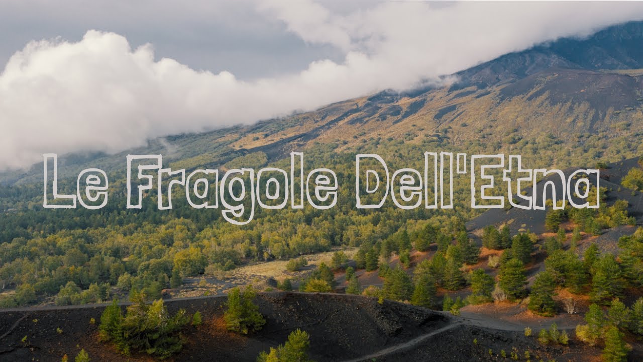 Le Fragole dell'Etna