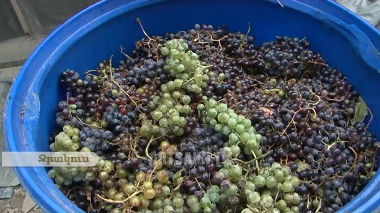 ՄԵՐ ՇԵՆԸ ՛՛ՋՐԱԿՈՒՍ՛՛,ՀԱԴՐՈՒԹԻ ՇՐՋԱՆ 25.08.2017