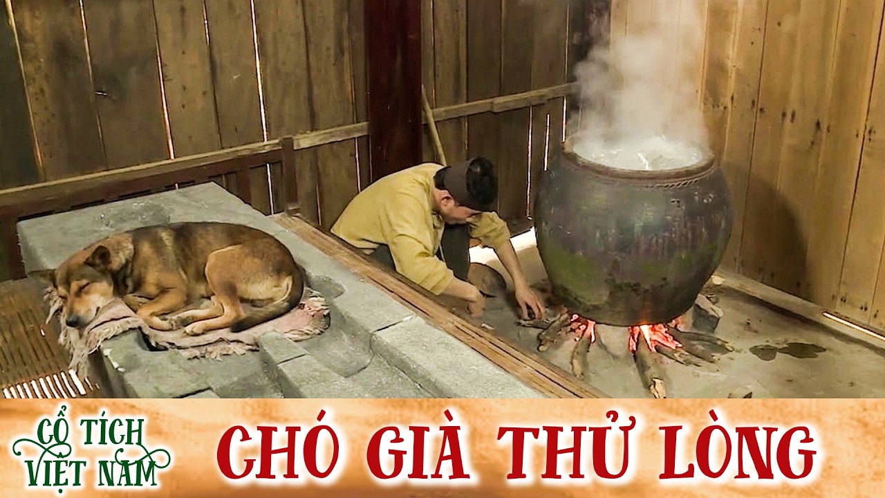 CỔ TÍCH MỚI 2026 | CHÓ GIÀ THỬ LÒNG | CỔ TÍCH VIỆT NAM MỚI HAY NHẤT 2026