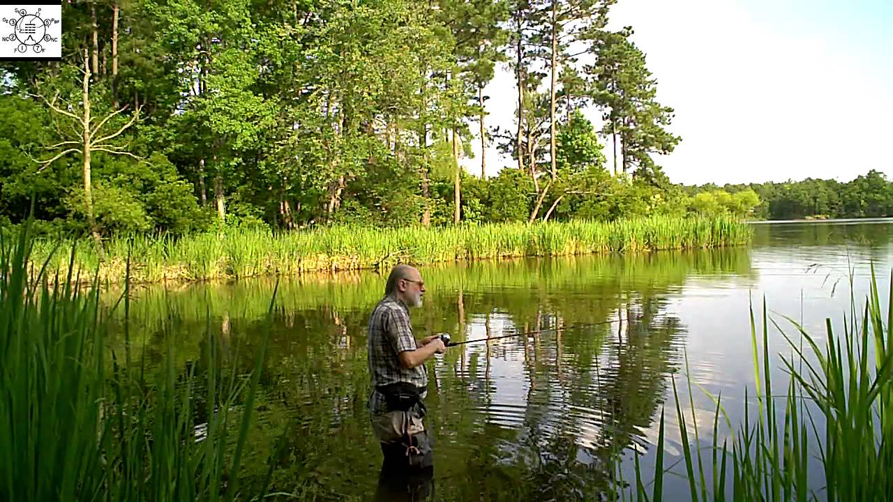 Thigh-Deep Fishing