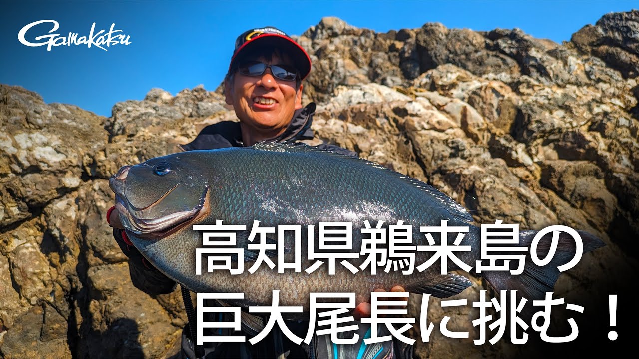 高知県鵜来島で共闘 シーズン初期の巨大尾長グレに挑む！【G WORLD #38】