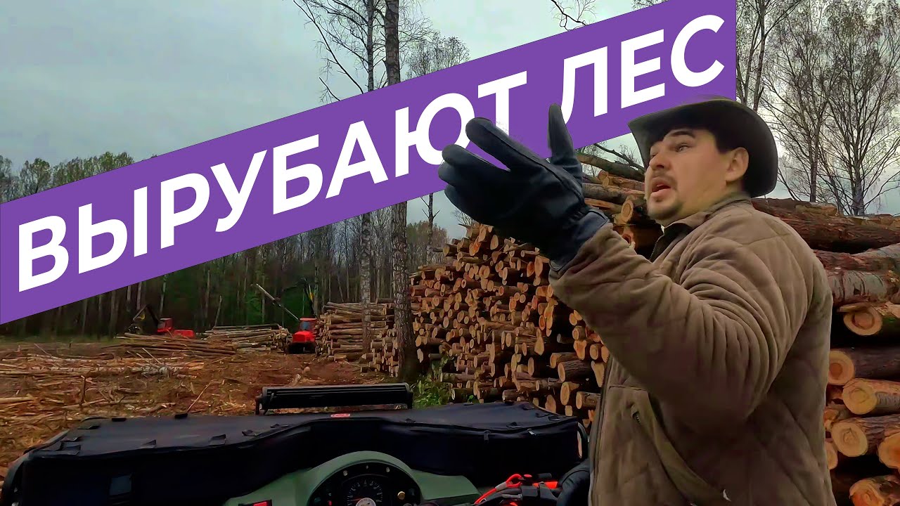 ВОТ ТАКАЯ РЫБАЛКА | РУБЯТ ЛЕС | ЛОШАДИ ВСЕ СЪЕЛИ