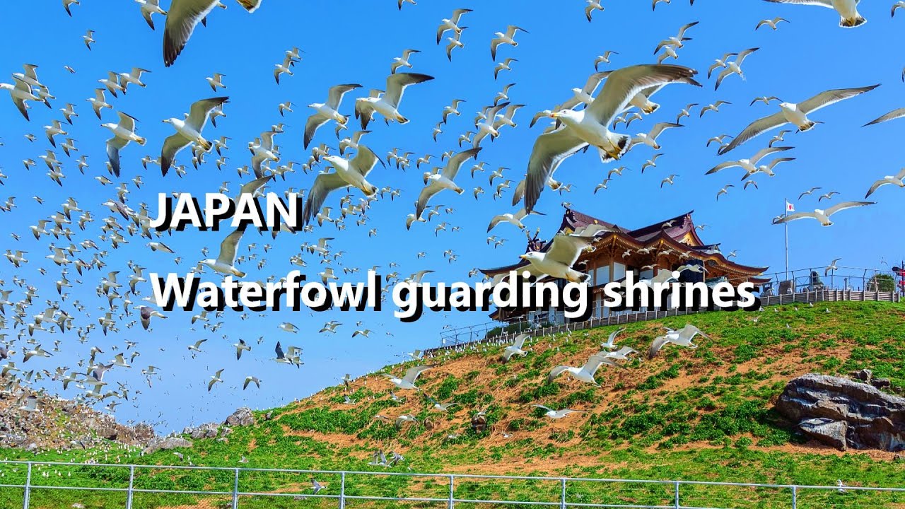 Japan's Great Tourist Attractions Aomori Prefecture Vol.1