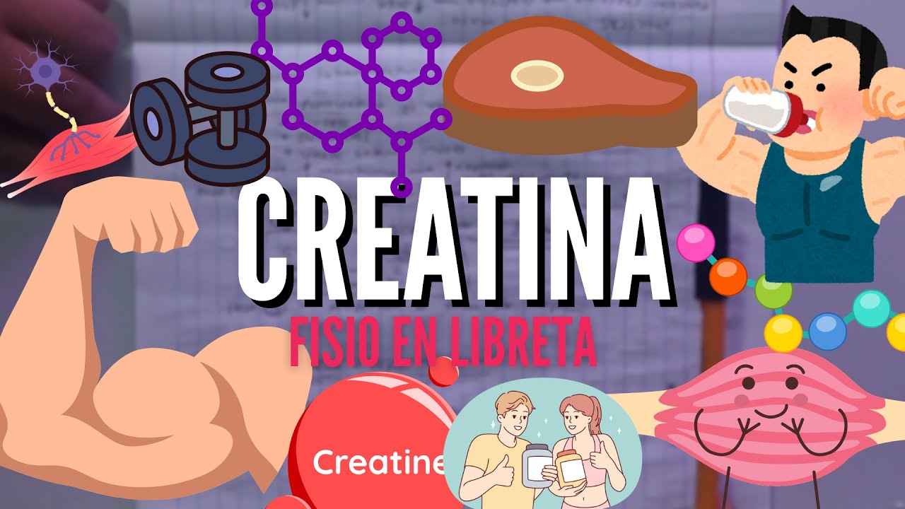 CREATINA | ¿Como funciona la CREATINA? | Fisiologia Medica y de Enfermeria