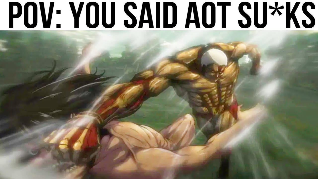 ATTACK ON TITAN MEMES 25