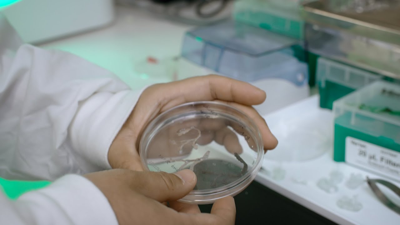 James St John Spinal Cord Injury Research