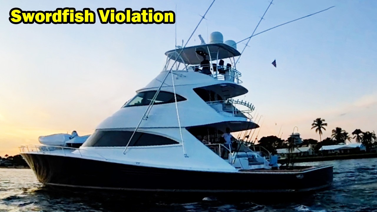 FWC Boards Huge Boat and Finds a Small Swordfish