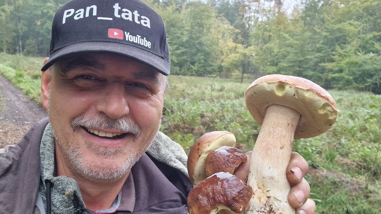 No to zbieramy Prawdziwki piękne poki rosną a jest ich dużo.