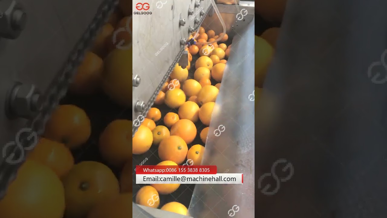 Orange Fruits Washing Waxing And Grading Machine