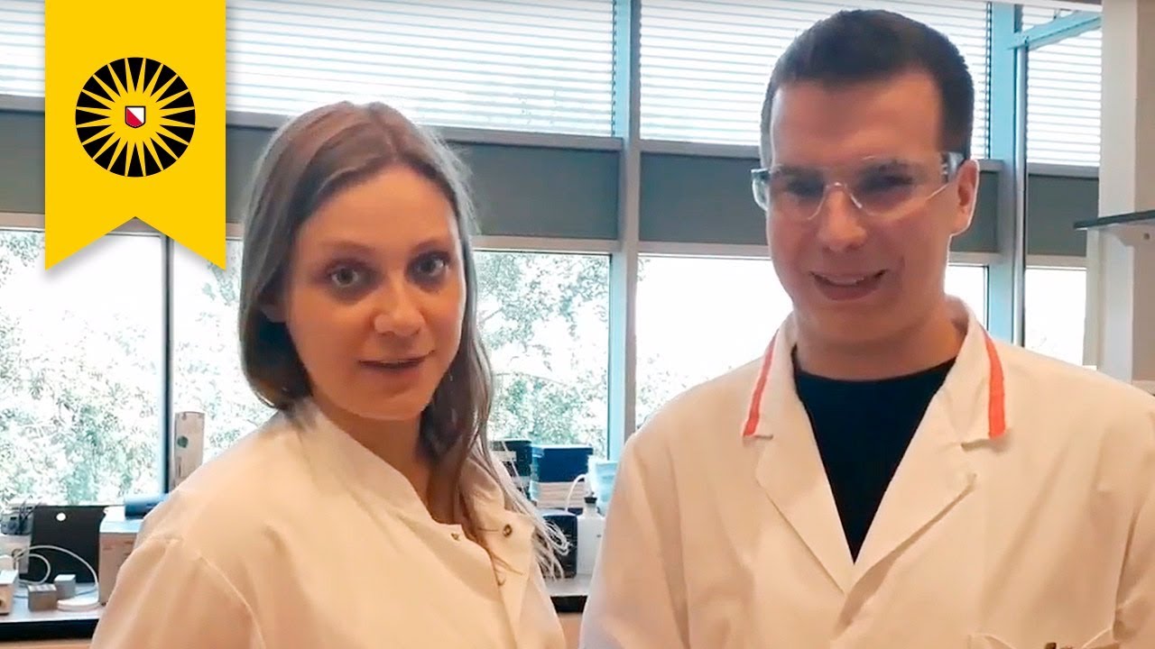 Get to know our College of Pharmaceutical Sciences