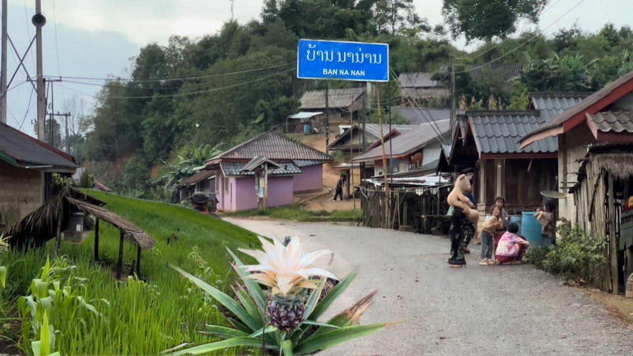 Tuaj Txog Zos PhouVieng Ze PhouKhoun #Pt.3 ( August 08, 2025 )