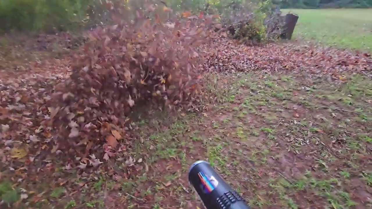 Echo pb9010 more beastly!