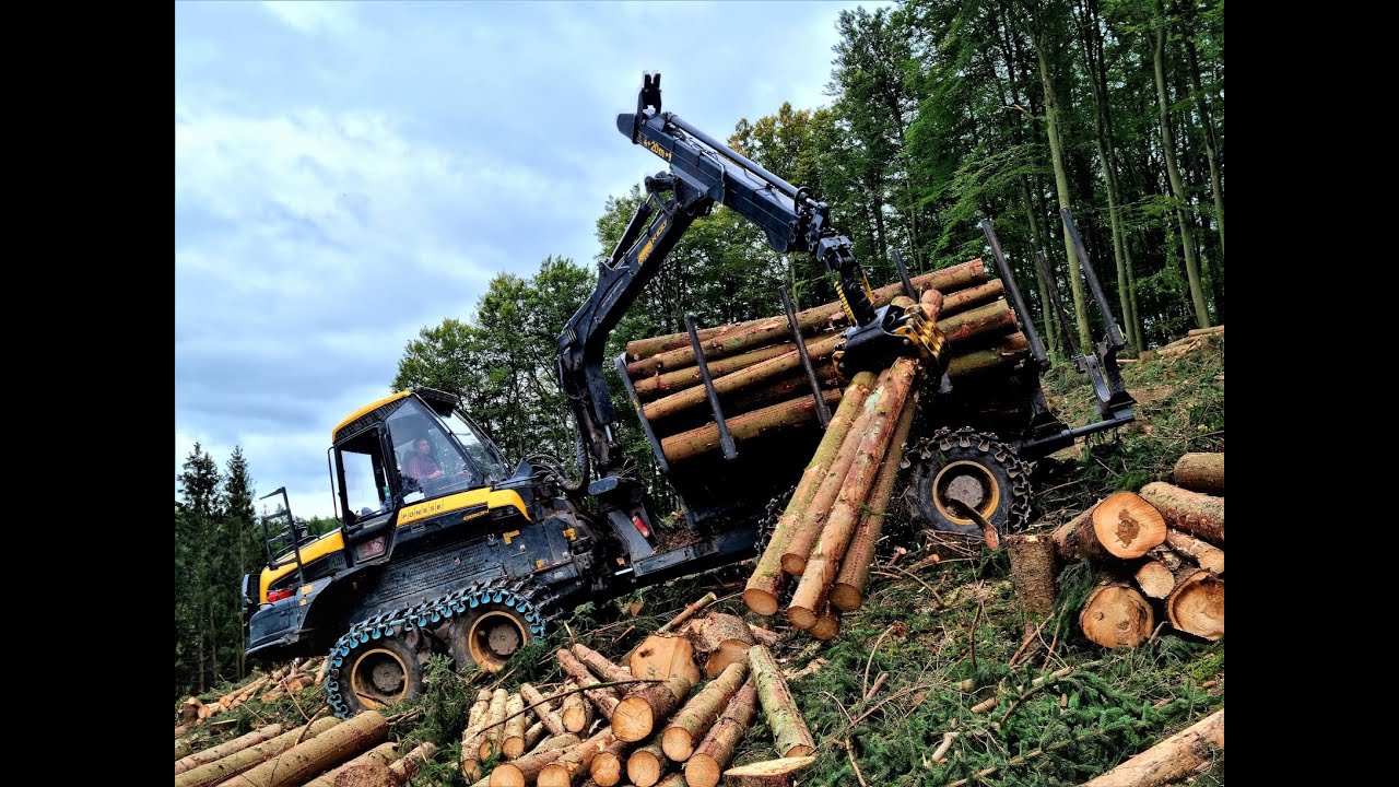 🌲 Ponsse Bison • *Ponsse-Week* • Forwarder in Action • Forstarbeiten • Rückezug im Einsatz • #1🌲
