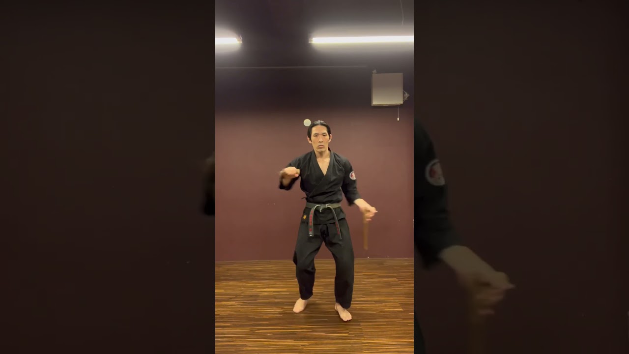 Tonfa training 🐉 | Ryukyu kobudo #トンファー #okinawakarate