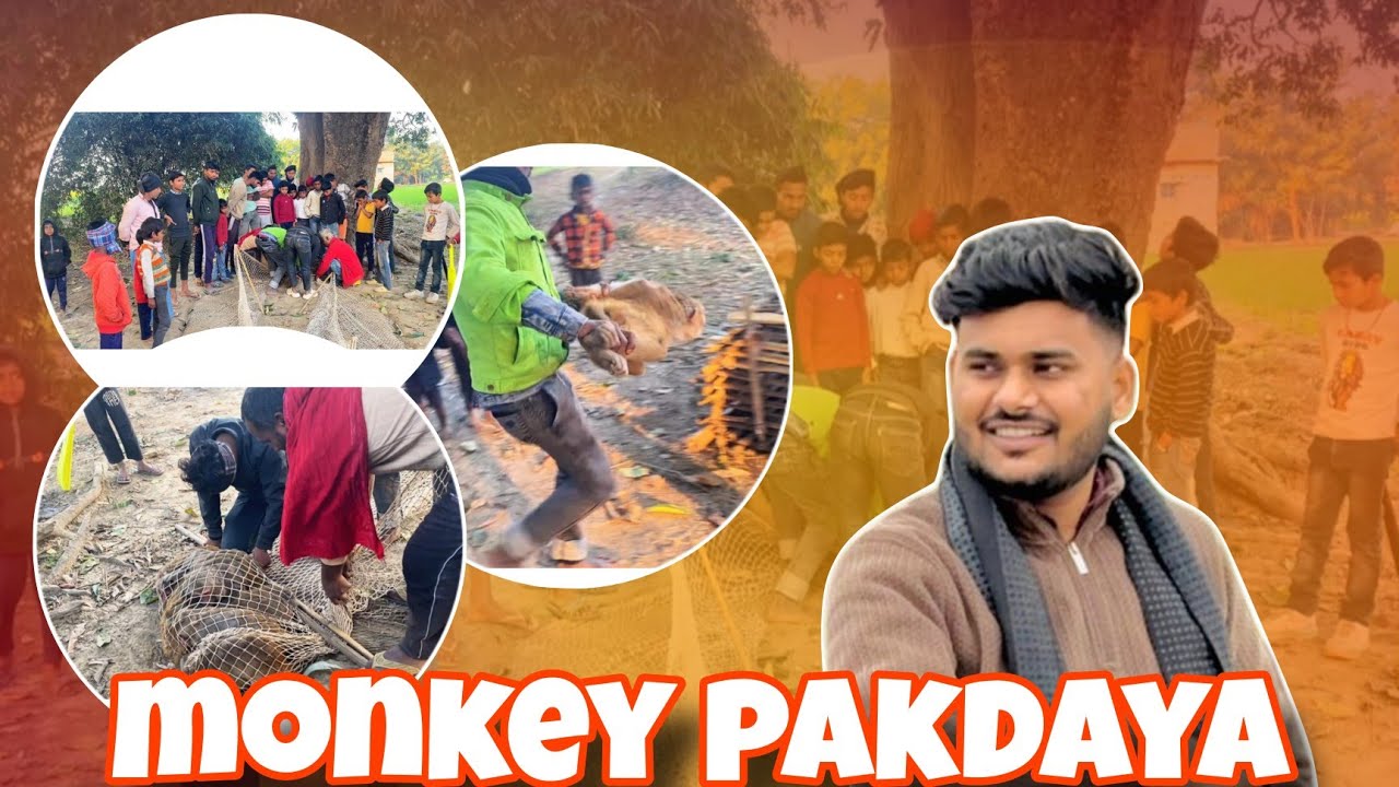 Monkey pakdaya...