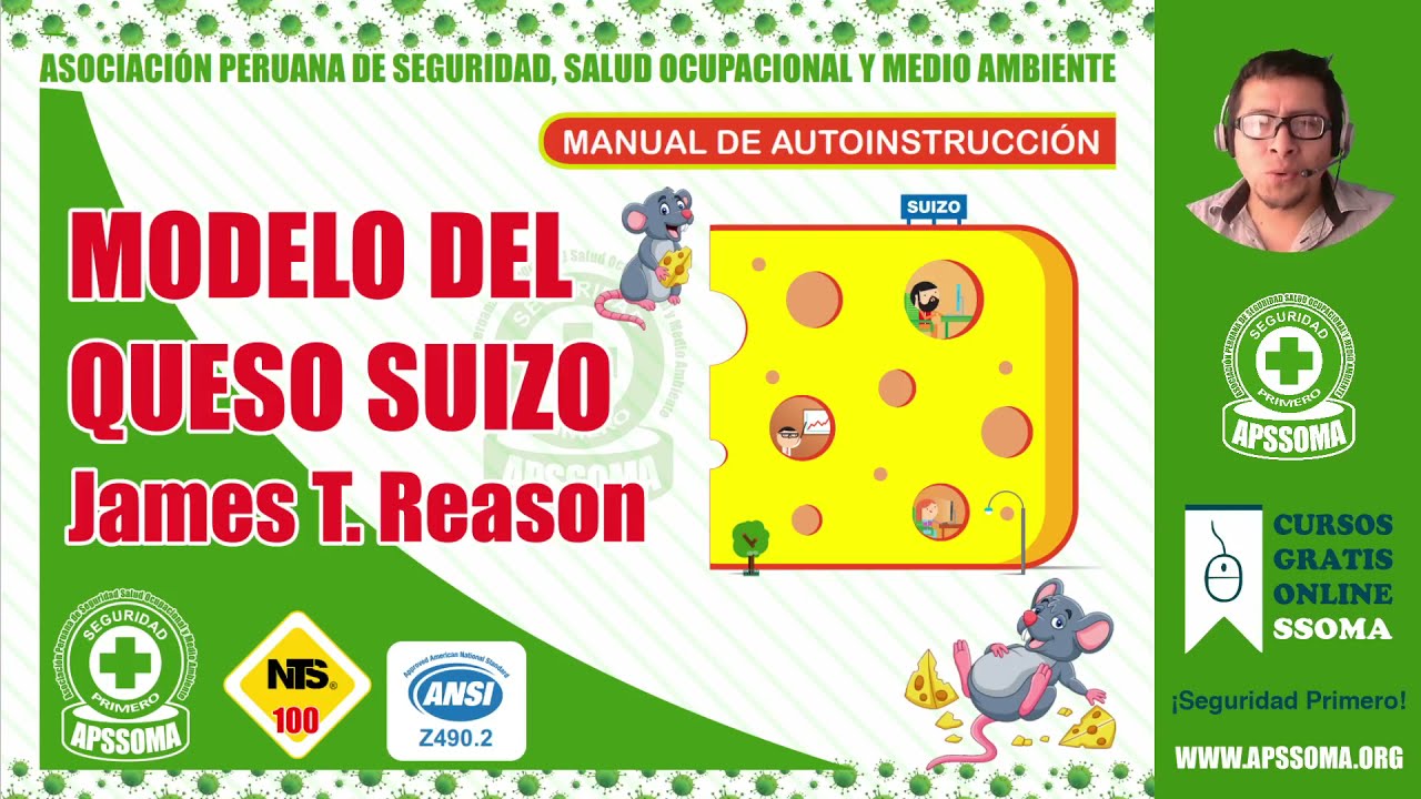 MODELO DEL QUESO SUIZO - JAMES T. REASON - APSSOMA