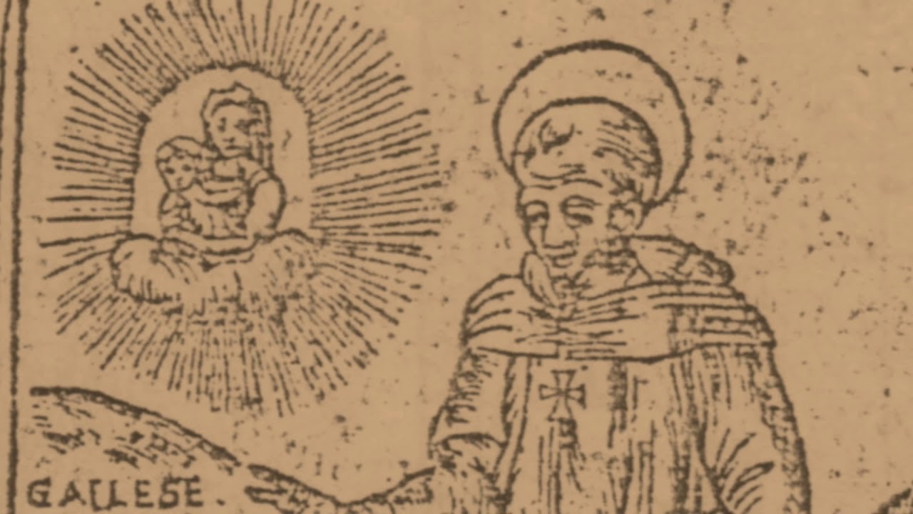 Tu di Gallese
