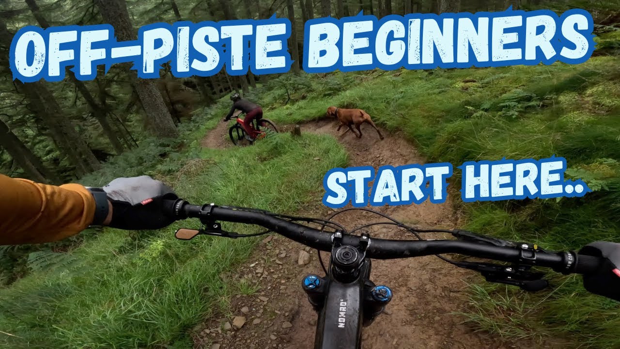 Off Piste MTB - A beginners guide - Glentress Forest Park.