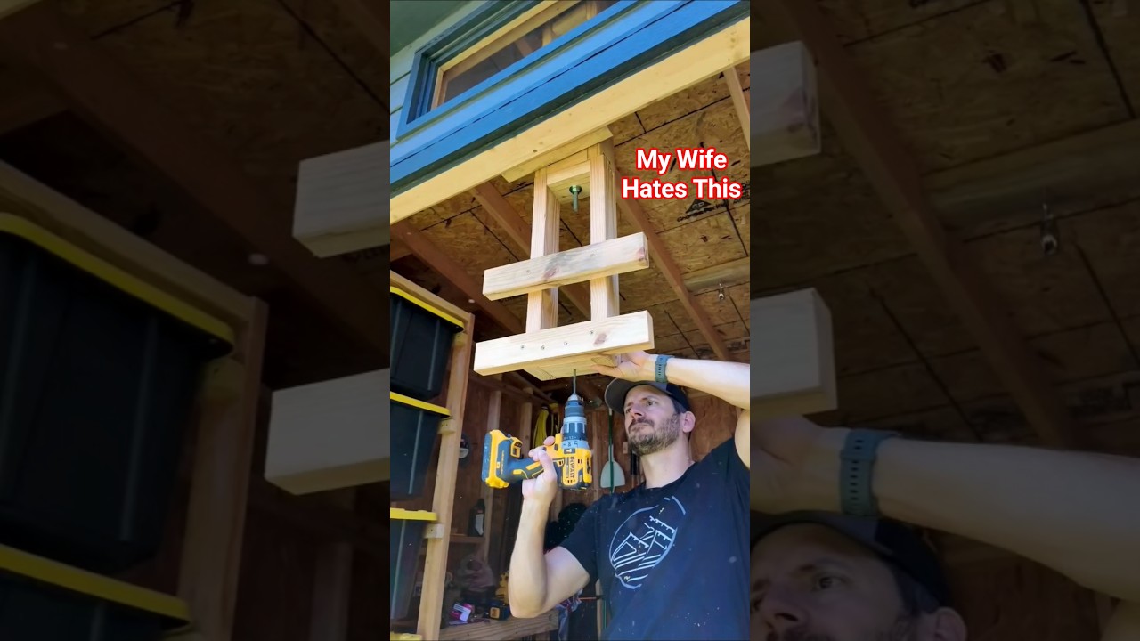 Best Shed Upgrade Ever? 🍺