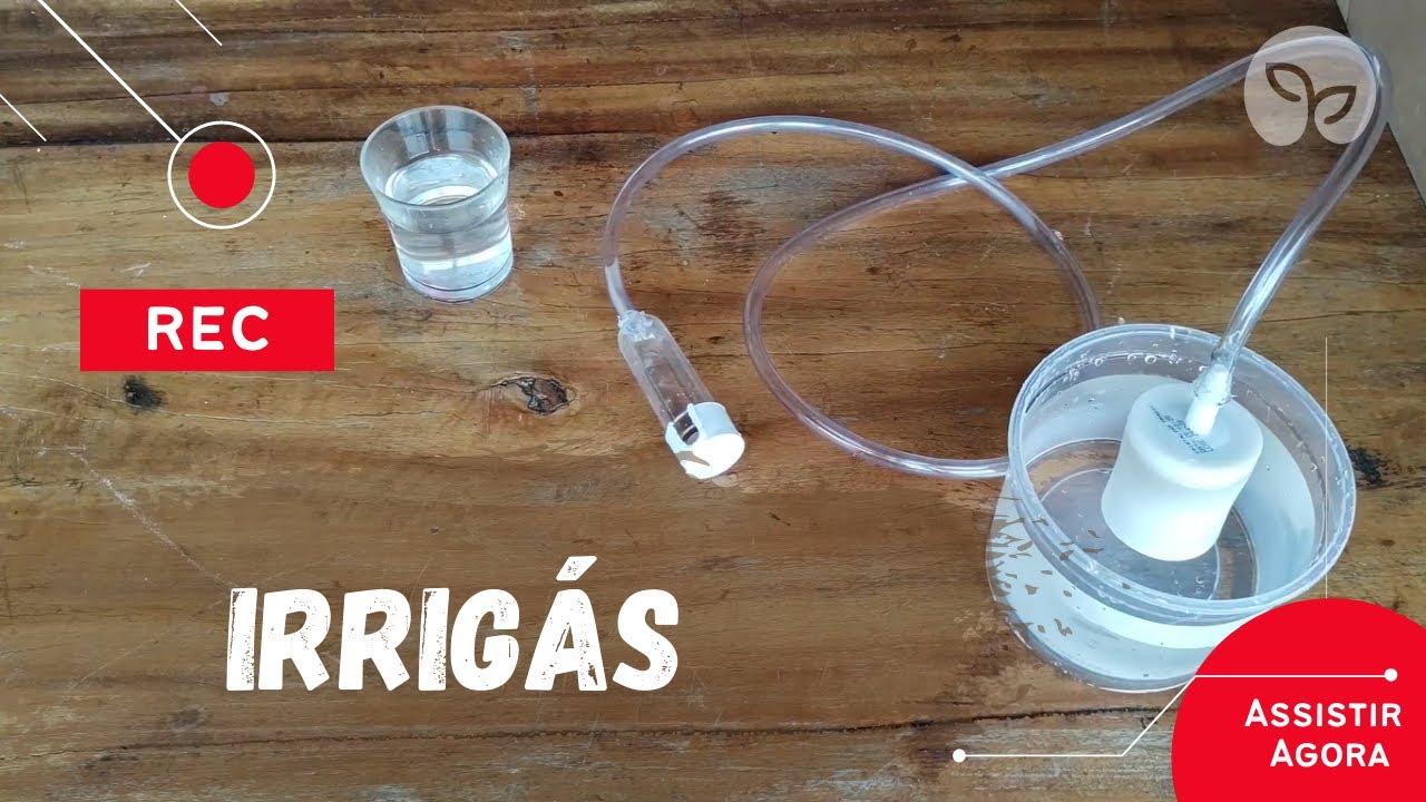 IRRIGAÇÃO | Aprenda a fazer um sensor de umidade do solo de baixo custo.