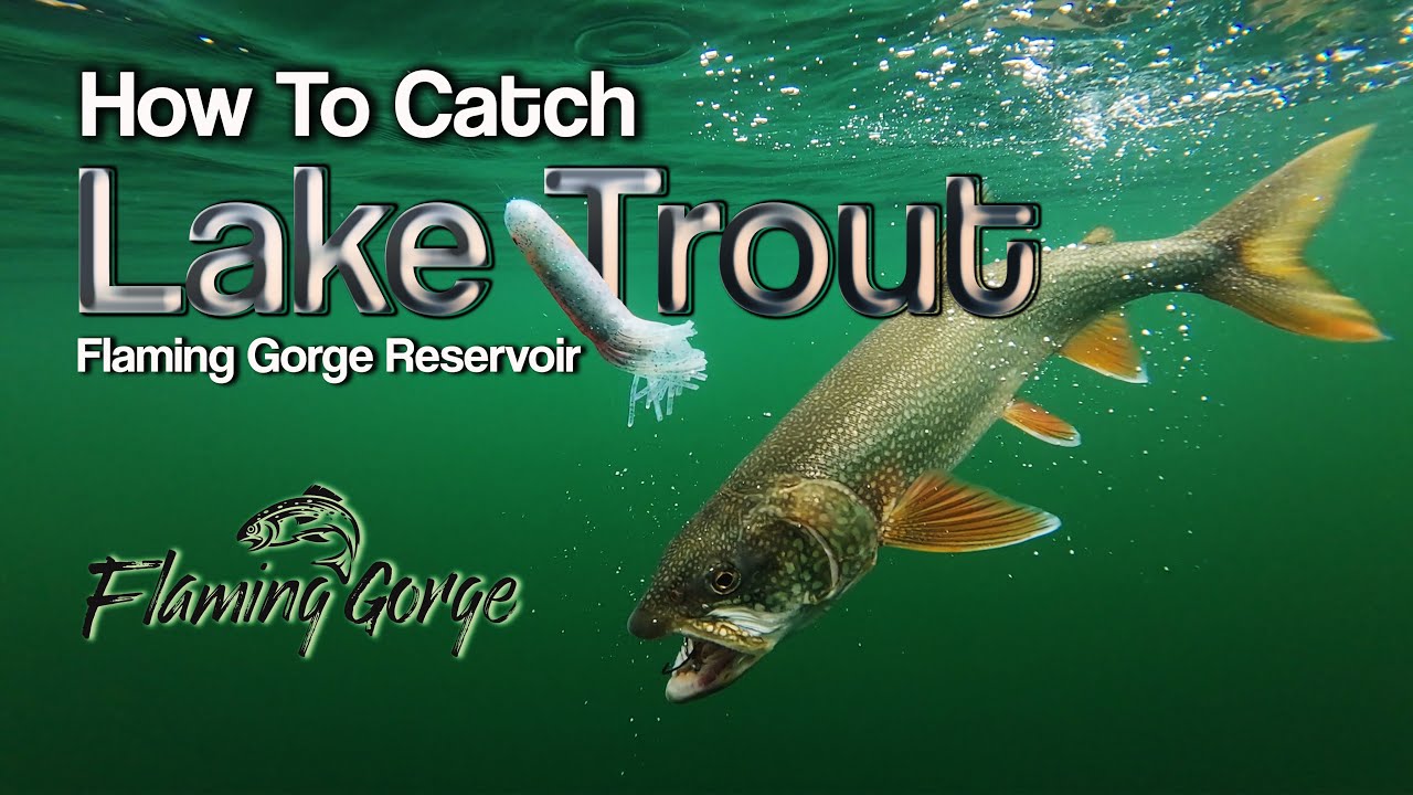How to Troll for Big Lake Trout - Flaming Gorge Reservoir Episode 2