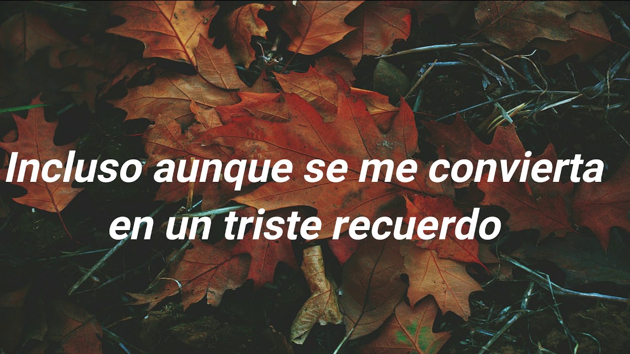 Au Revoir - Malice Mizer Lyrics