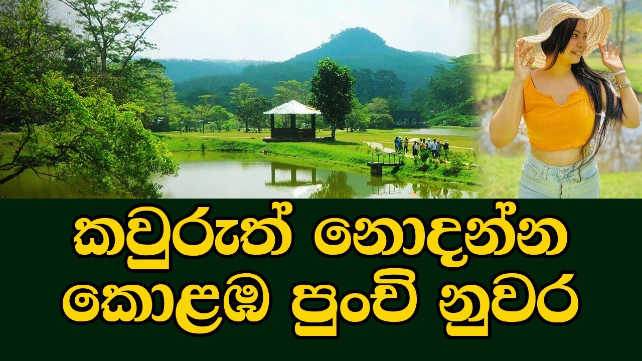 කොළඹ පිහිටි අපුරූ නුවර එලිය මෙන්න | seethawaka botanical garden