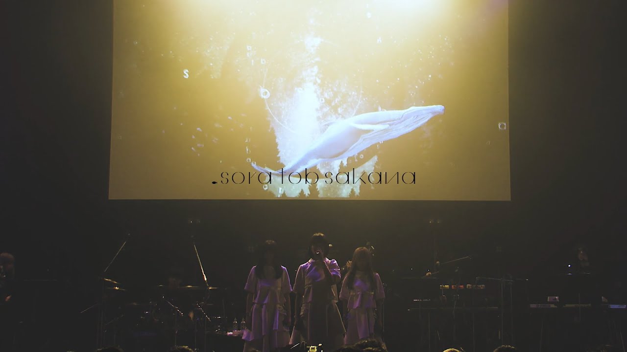 sora tob sakana 広告の街