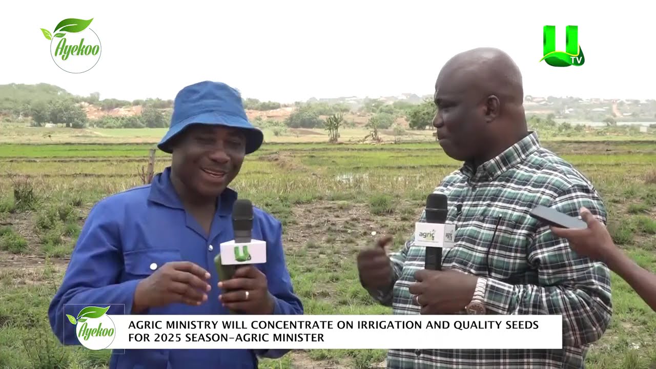 AYEKOO: AGRIC MINISTRY WILL CONCENTRATE ON IRRIGATION AND QUALITY SEEDS FOR 2025 SEASON