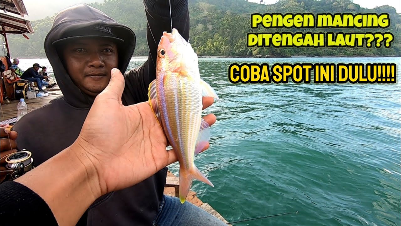 SPOT MANCING DI TENGAH LAUT PALING PAS BUAT PEMULA || mancing ikan di rumah apung prigi