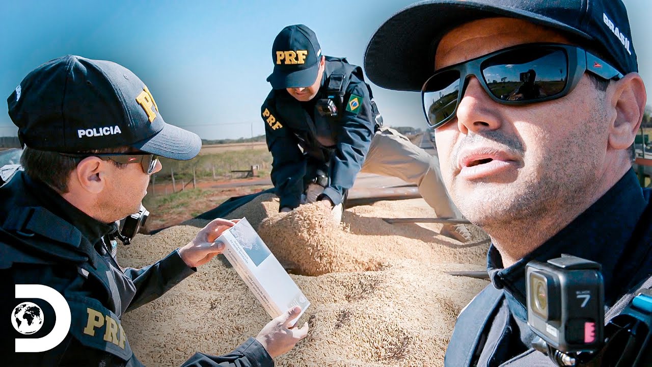 Encontram caixas de tabaco em carga de arroz | Opera&ccedil;&atilde;o Fronteira: Am&eacute;rica do Sul | Discovery Brasil