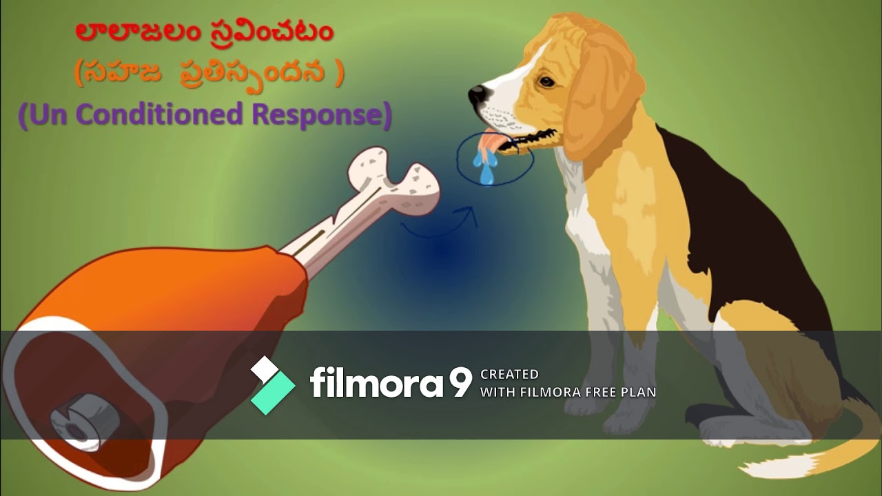 Animal Behaviour-Classical Conditioning (Telugu Medium)