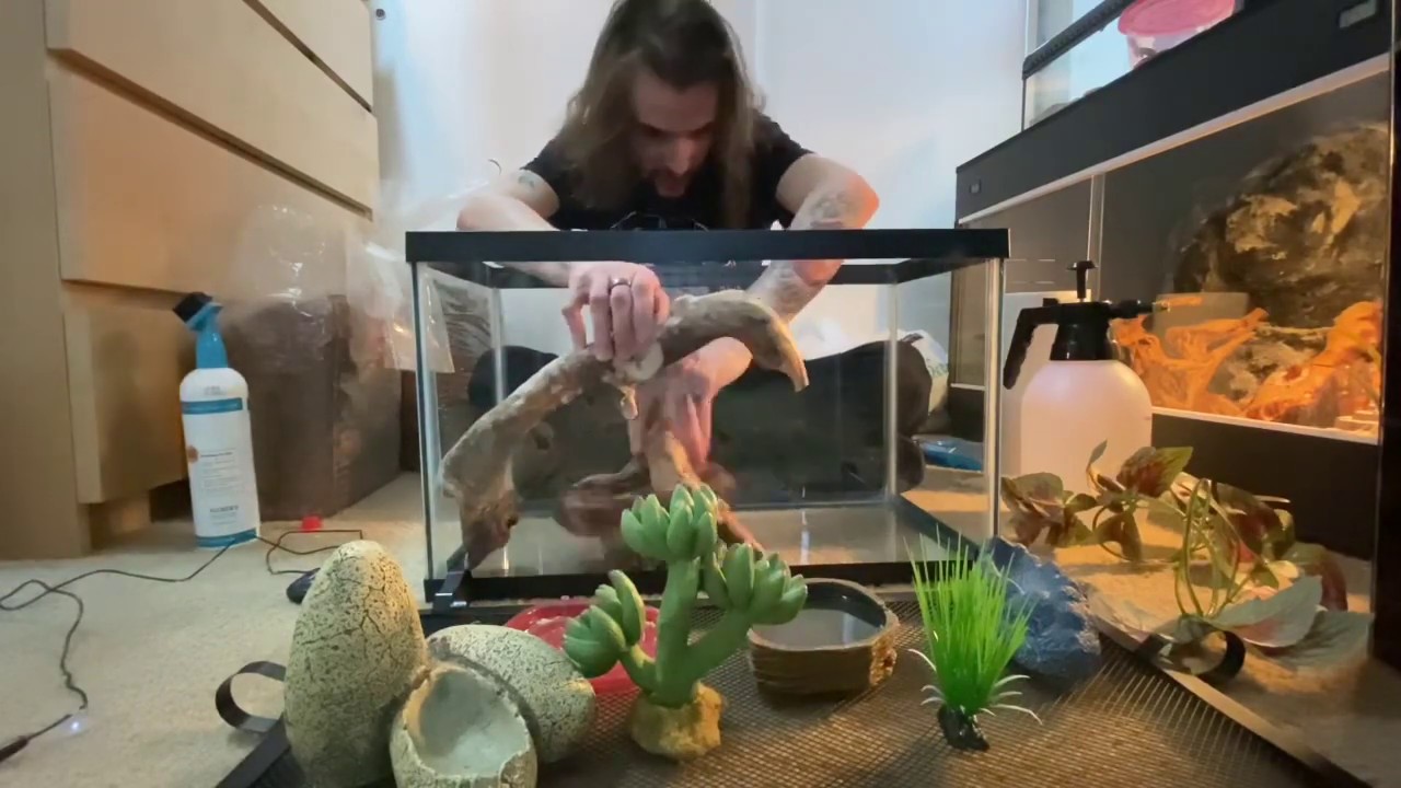 TEARING APART MY SNAKES ENCLOSURE? | SOBA GET A CAGE CLEANING | RAT SNAKE GETS NEW DECOR