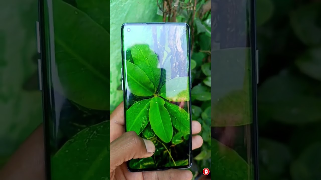 #OPPO Reno 6 pro #camera review #camera quality test #best camera smart phone #viralshorts2024