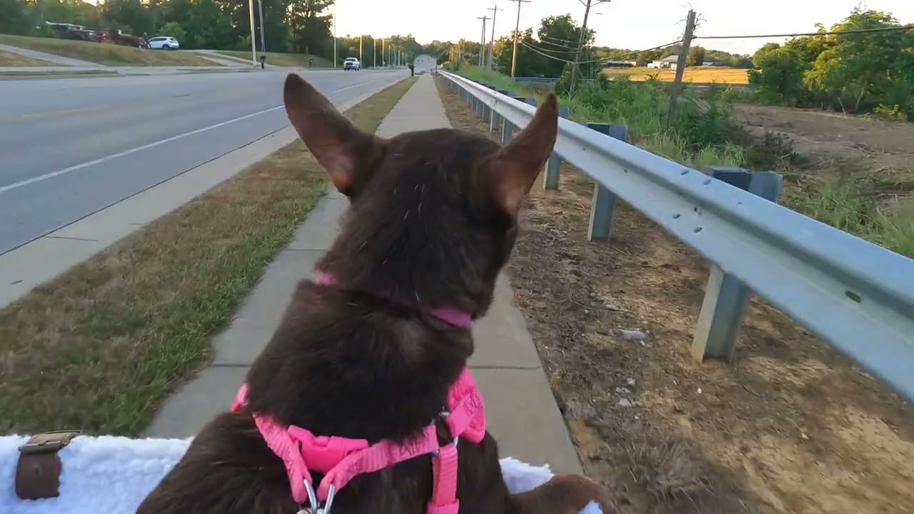 June 24, 2024 - Ride #6 - Dixie Park and Roselawn Subdivisions with Bike Adventures with Sandy.