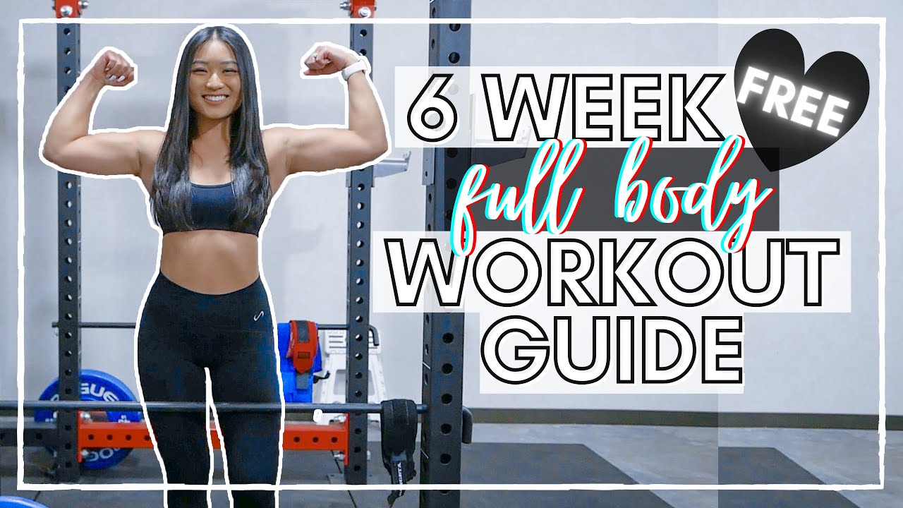 WEEK 3 | DB-Only Beginner Full Body