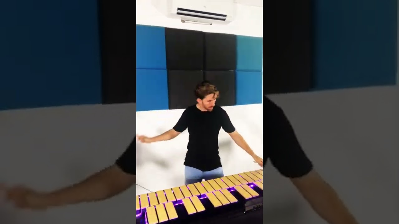 Animals - Martin Garrix (Electronic Percussion Cover)