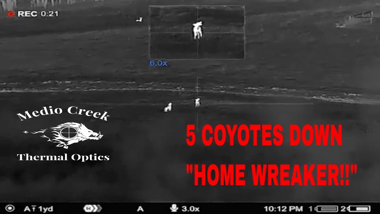 5 COYOTES DOWN!! Coyote hunting with Thermion 2 XG50 LRF