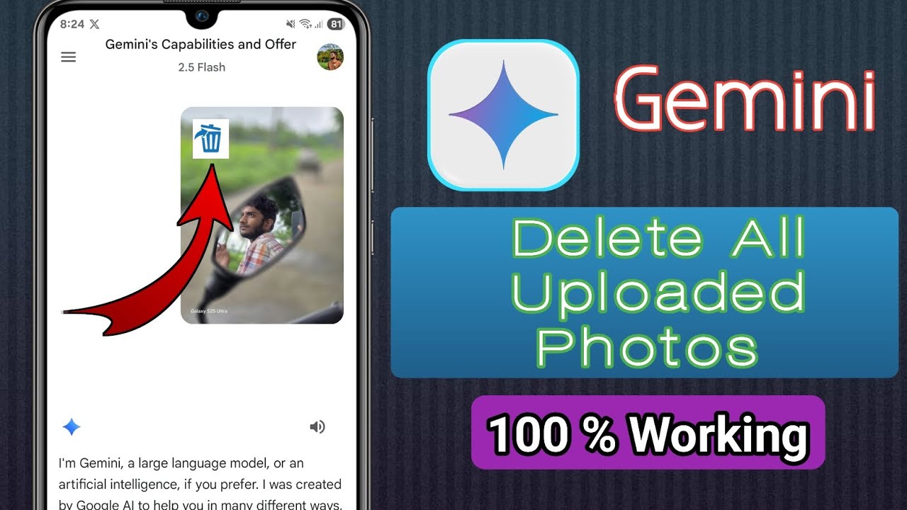 How To Delete All Gemini Uploaded Photos 
