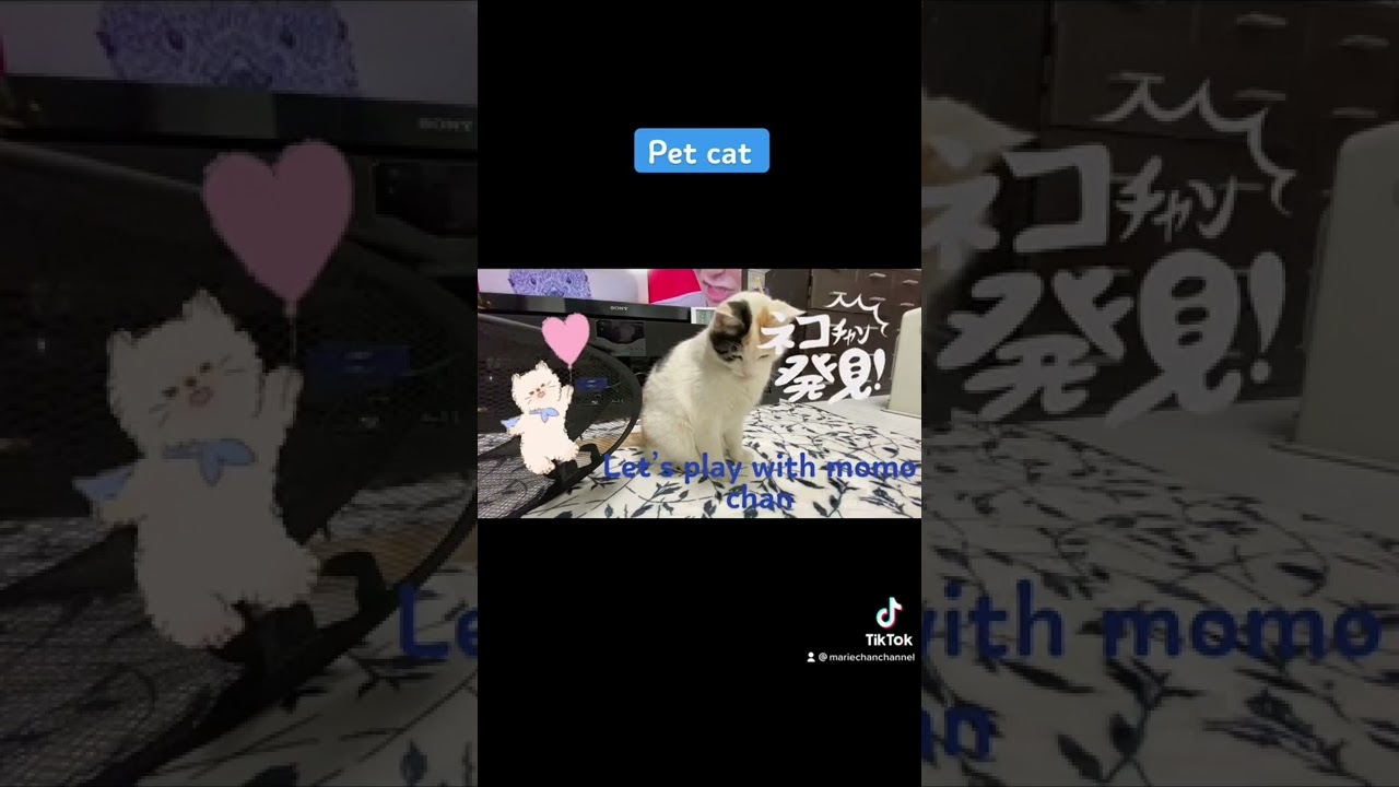 Momo in tiktok