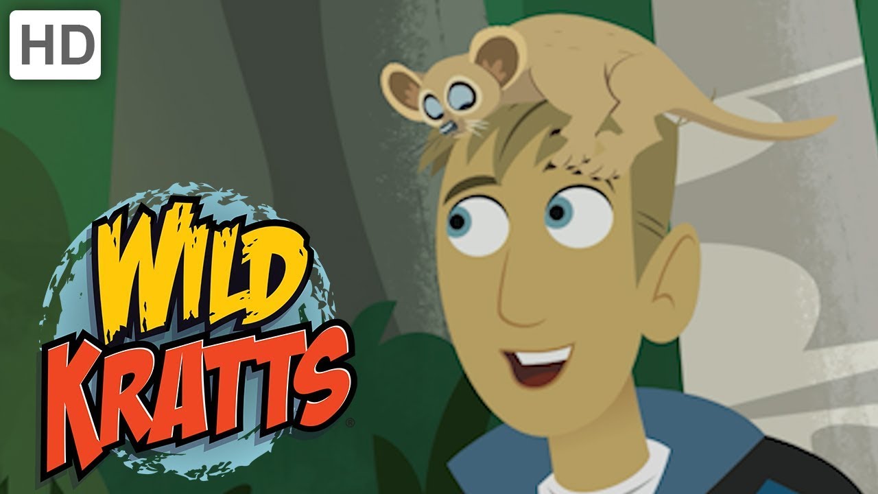 Wild Kratts 🌳 Explore Madagascar! | Kids Videos