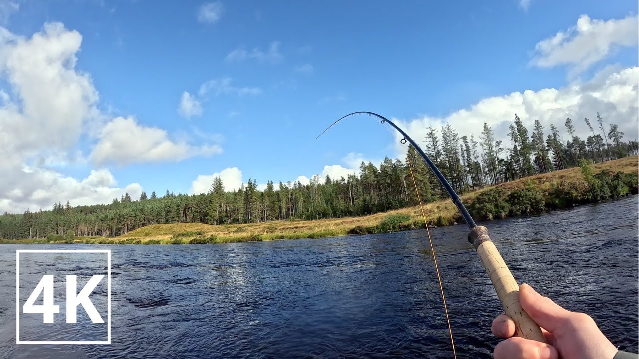 Autumn Salmon fishing Scottish Highlands