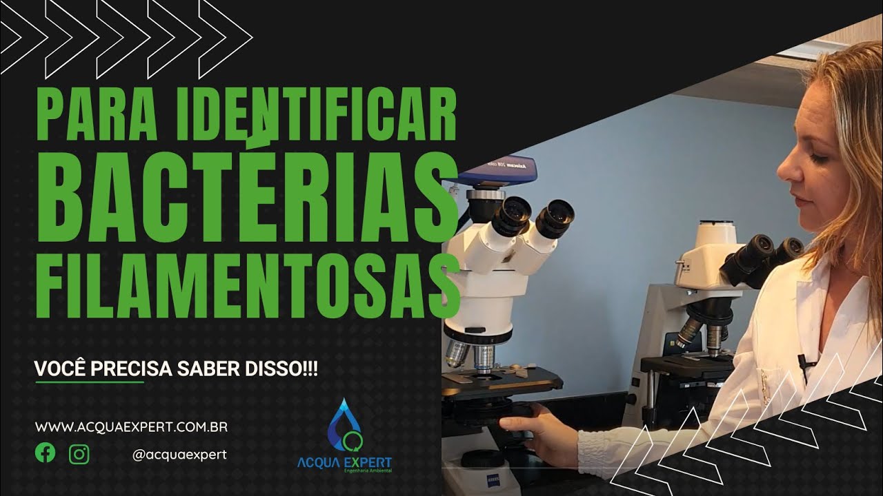 CONTRASTE DE FASE - O equipamento que faz toda a diferença na análise das bactérias filamentosas!
