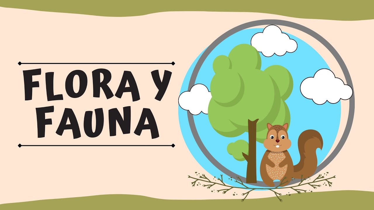 ¿Qué es la flora y fauna?