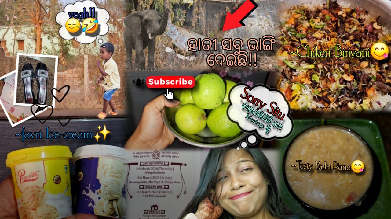 ହାତୀ ପଶିକି କ'ଣ କରିଛନ୍ତି😲🐘! || ବହୁତ୍ ଦିନ ପରେ ଆସିଗଲି🙈ଆପଣ ମାନଙ୍କ ପାଖକୁ🙂‍↔️🤣 || Youtube || Suscribe🫶🏻🌸